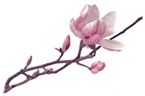 Logo Rameau Fleuri (petit)